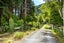 2296B Akatarawa Road, Akatarawa Valley, Upper Hutt - Carousel 5