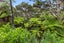 104B Greenslade Road, Raglan - Carousel 10