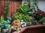 32A Campbell Street, Leamington, Cambridge - Carousel 21