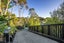 96 Waiheke Road, Waiheke Island, Waiheke Island - Carousel 37