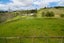 2613C River Road, Tuakau - Carousel 7