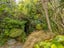 62 Morton Street, Georgetown, Invercargill - Carousel 19