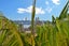 34D Esmonde Road, Takapuna, Auckland - Carousel 3