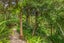110 Quebec Road, Washington Valley, Nelson - Carousel 14