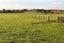 280 Findlay Road, Ascot, Invercargill - Carousel 2