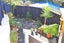 53 Don Buck Road, Massey, Auckland - Carousel 19