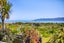 91 Manly Street, Paraparaumu Beach, Paraparaumu - Carousel 23