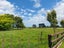 4385 Mountain Road, Ngaere, Stratford - Carousel 15