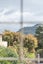 86 Muricata Avenue, Mount Maunganui, Mount Maunganui - Carousel 4