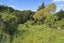 138 Paroa Bay Road, Russell, Russell - Carousel 13