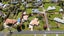 49 Cowley Drive, Leamington, Cambridge - Carousel 2