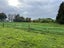 41 Mellow Road, Ohaupo, Ohaupo - Carousel 20