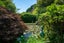1080 Paradise Valley Road, Ngongotaha Valley - Carousel 5
