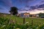 147 Mangatuna Road, Dannevirke, Tararua, Manawatu / Whanganui - Carousel 1