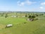 118 Costall Road, Wardville, Waharoa - Carousel 32