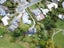 14 Rerewai Place, Kelston, Auckland - Carousel 18