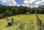 105 Zanders Road, Waimauku - Carousel 40