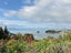 107 Kaiteriteri-Sandy Bay Road, Kaiteriteri, Motueka - Carousel 4