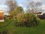 1/75 Arawa Street, New Lynn, Auckland - Carousel 3