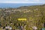 200 Godley Road, Titirangi, Auckland - Carousel 34