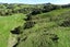 83 Paparoa Station Road, Paparoa, Paparoa - Carousel 14