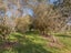 137 Old Hautere Road, Hautere - Carousel 21