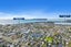 3/28 Gordon Avenue, Milford, Auckland - Carousel 11
