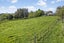 92 Hickman Road, Onaero, Urenui - Carousel 29