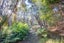 54B Harambee Road, Taiharuru, Parua Bay - Carousel 28
