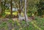90 Vineyard Lane, Mangawhai, Wellsford - Carousel 25