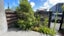 17/17 Warwick Street, Richmond, Christchurch - Carousel 6