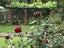 53 Kaurilands Road, Titirangi, Auckland - Carousel 19