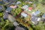 21 Wallace Road, Ranui, Auckland - Carousel 15