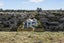 9 Driftwood Lane, Waimairi Beach, Christchurch - Carousel 34