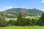 397 Apotu Road, Kamo - Carousel 23