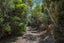 937B HEREPURU RD, Matata - Carousel 23