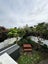 2/13 Markham Place, Bucklands Beach, Auckland - Carousel 31