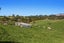 247B Stanley Road, Wainui, Whakatāne - Carousel 30
