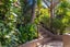 29 De Val Drive, Titirangi, Auckland - Carousel 3