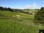 175 Valley View Road, Whangarei - Carousel 25