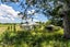 776 Koheroa Road, Mercer - Carousel 2