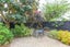 5/61 Champion Street, Edgeware, Christchurch - Carousel 17