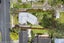 10 Larne Avenue, Pakuranga Heights, Auckland - Carousel 17