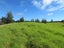 3901E Far North Road, Pukenui, Pukenui - Carousel 15