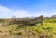 673 HETHERINGTON ROAD, Rotongaro, Waikato, Waikato - Carousel 24
