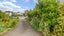 2/626 Manukau Road, Epsom, Auckland - Carousel 2