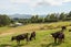 67A Lees Pakaraka Road, Te Ore Ore, Masterton - Carousel 5