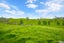0 Kahikatea Flat Road, Waitoki, Waitoki - Carousel 7