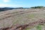 Lot 3 Taieri Beach Road, Taieri Beach, Taieri Mouth, Clutha, Otago - Carousel 5