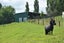 69 Matakohe Wharf Road, Matakohe, Matakohe - Carousel 6